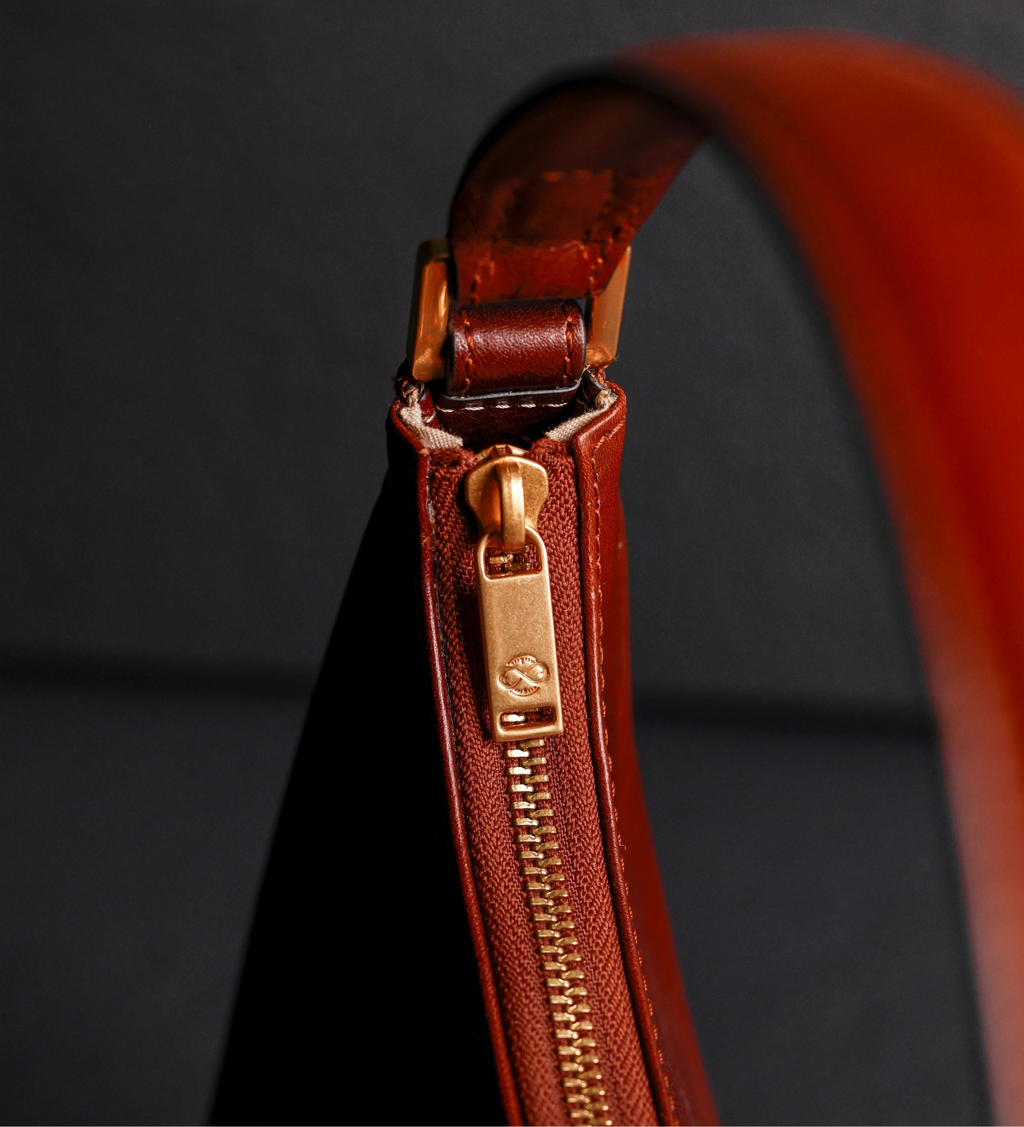 Leather Hobo Bag for Women – The Bluest Eye